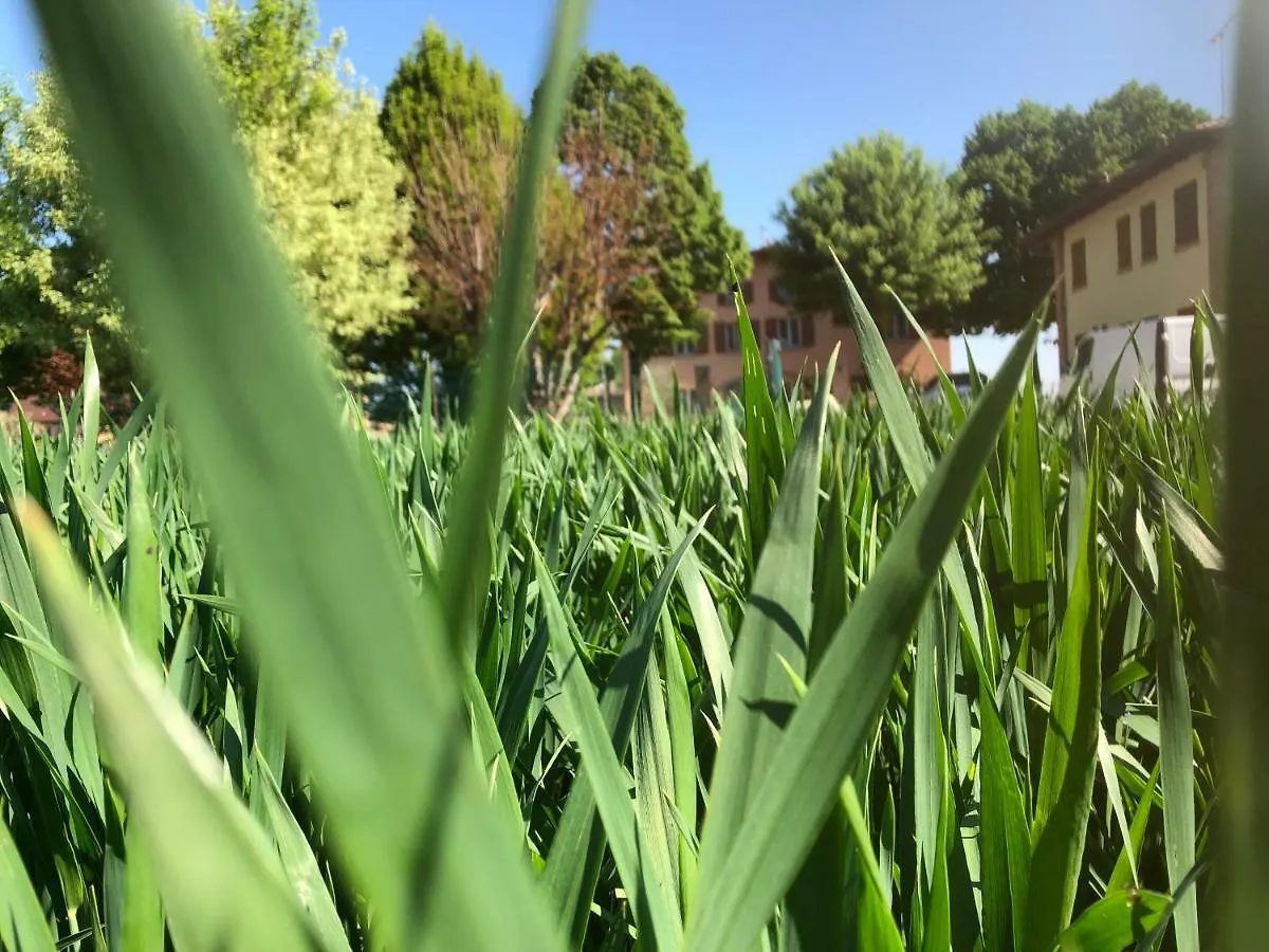 Farm stay Agriturismo N'Uova Campagna Bologna