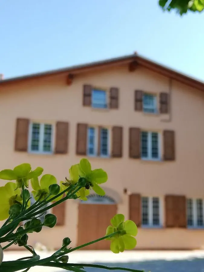 Farm stay Agriturismo N'Uova Campagna Bologna